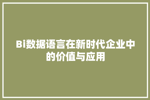 Bi数据语言在新时代企业中的价值与应用