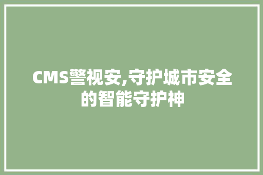 CMS警视安,守护城市安全的智能守护神