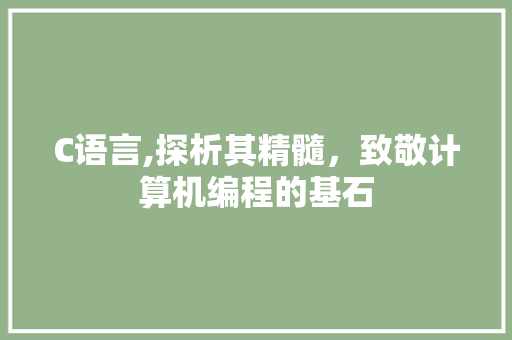C语言,探析其精髓，致敬计算机编程的基石 WordPress教程