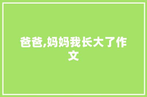 C语言,编程之魂，引领未来
