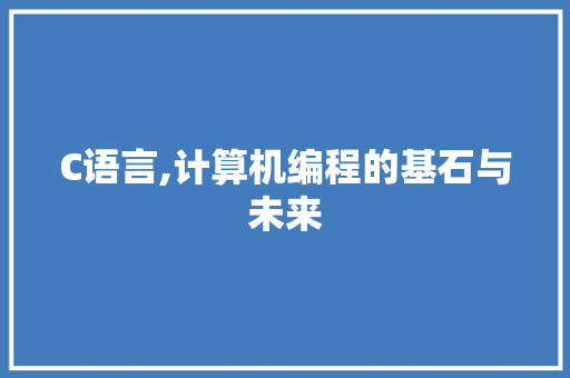 C语言,计算机编程的基石与未来 SEO教程