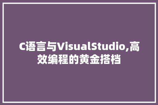 C语言与VisualStudio,高效编程的黄金搭档