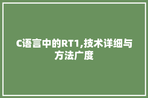 C语言中的RT1,技术详细与方法广度