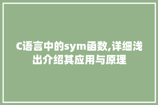 C语言中的sym函数,详细浅出介绍其应用与原理