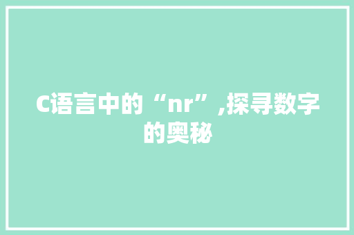 C语言中的“nr”,探寻数字的奥秘 建站教程