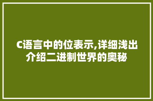 C语言中的位表示,详细浅出介绍二进制世界的奥秘