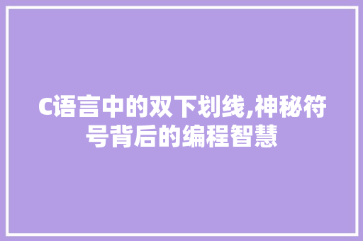 C语言中的双下划线,神秘符号背后的编程智慧