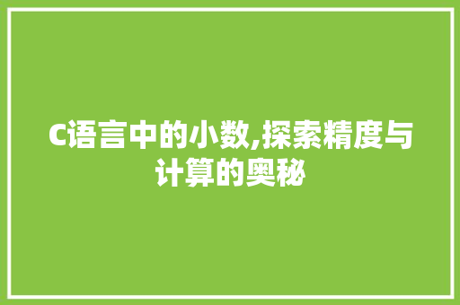 C语言中的小数,探索精度与计算的奥秘