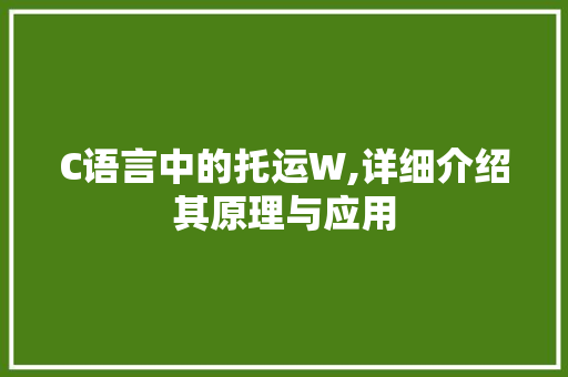 C语言中的托运W,详细介绍其原理与应用