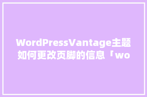 WordPressVantage主题如何更改页脚的信息「wordpress 自定义主题」 建站教程