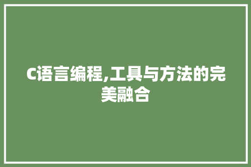 C语言编程,工具与方法的完美融合 建站教程