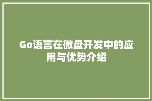 Go语言在微盘开发中的应用与优势介绍 友链在线