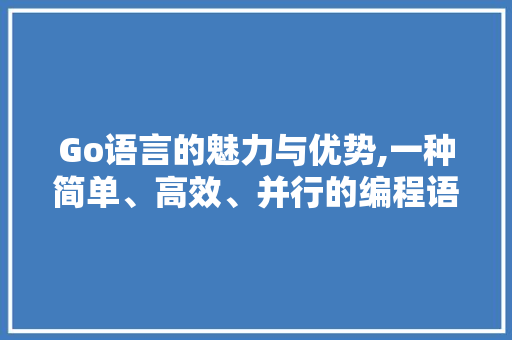 Go语言的魅力与优势,一种简单、高效、并行的编程语言