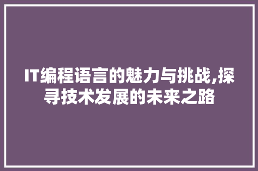 IT编程语言的魅力与挑战,探寻技术发展的未来之路