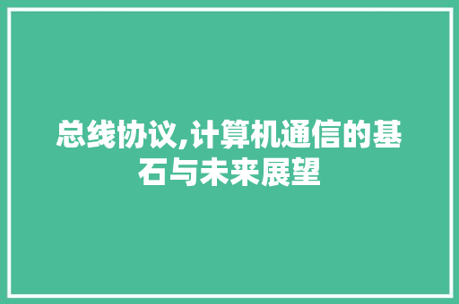 总线协议,计算机通信的基石与未来展望