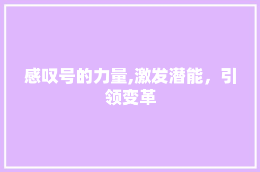 感叹号的力量,激发潜能，引领变革