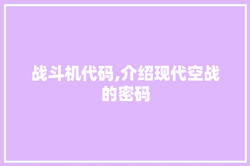 战斗机代码,介绍现代空战的密码