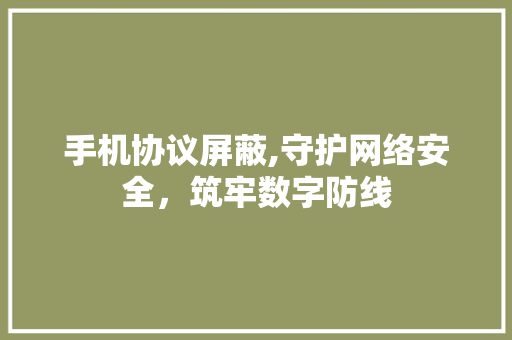 手机协议屏蔽,守护网络安全，筑牢数字防线
