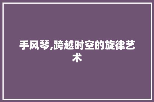 手风琴,跨越时空的旋律艺术