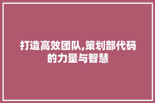 打造高效团队,策划部代码的力量与智慧 Web前端