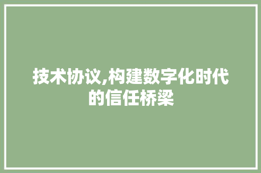 技术协议,构建数字化时代的信任桥梁 Web前端