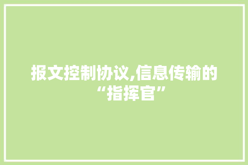 报文控制协议,信息传输的“指挥官” 建站教程