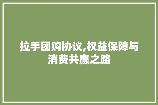 拉手团购协议,权益保障与消费共赢之路 WordPress教程