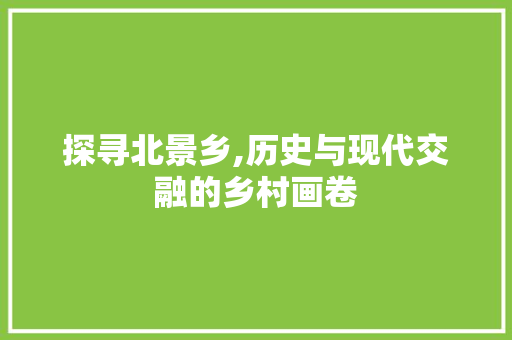 探寻北景乡,历史与现代交融的乡村画卷