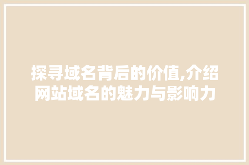 探寻域名背后的价值,介绍网站域名的魅力与影响力