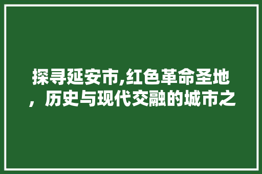 探寻延安市,红色革命圣地，历史与现代交融的城市之光 Web前端