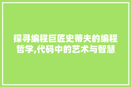 探寻编程巨匠史蒂夫的编程哲学,代码中的艺术与智慧