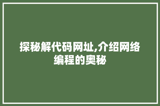 探秘解代码网址,介绍网络编程的奥秘