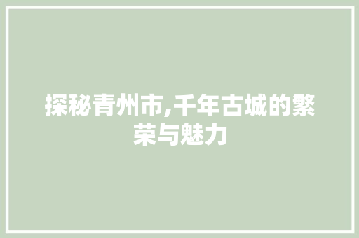 探秘青州市,千年古城的繁荣与魅力