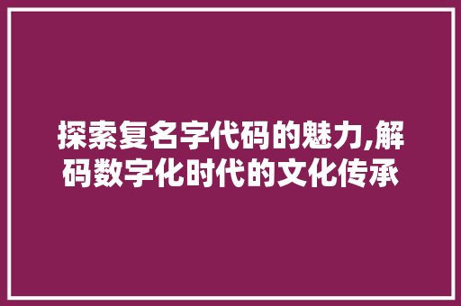 探索复名字代码的魅力,解码数字化时代的文化传承 WordPress教程