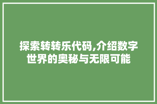 探索转转乐代码,介绍数字世界的奥秘与无限可能 Web前端
