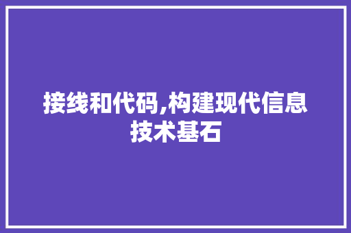 接线和代码,构建现代信息技术基石 WordPress教程