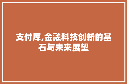 支付库,金融科技创新的基石与未来展望