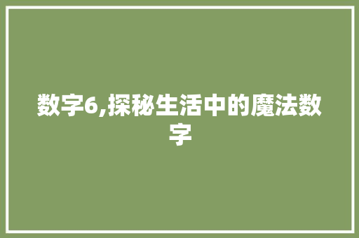 数字6,探秘生活中的魔法数字