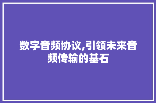 数字音频协议,引领未来音频传输的基石 SEO教程