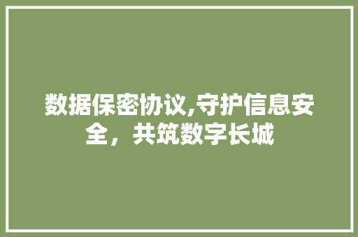 数据保密协议,守护信息安全，共筑数字长城 Web前端