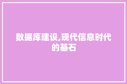 数据库建设,现代信息时代的基石
