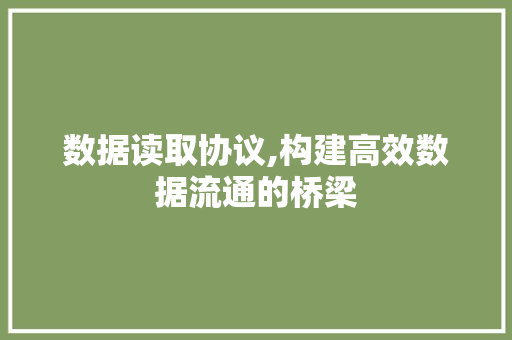 数据读取协议,构建高效数据流通的桥梁