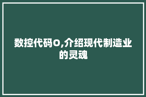 数控代码O,介绍现代制造业的灵魂