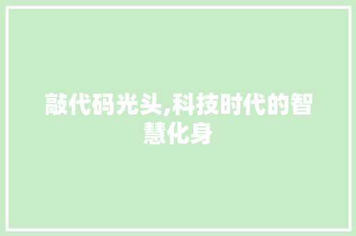 敲代码光头,科技时代的智慧化身 建站教程