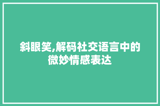 斜眼笑,解码社交语言中的微妙情感表达 服务器/数据库