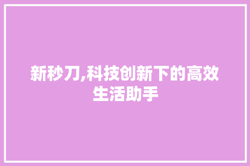 新秒刀,科技创新下的高效生活助手 建站教程