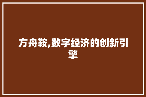方舟鞍,数字经济的创新引擎 Web前端