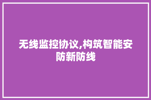 无线监控协议,构筑智能安防新防线 WordPress教程
