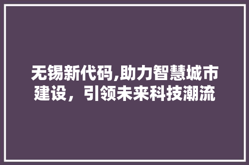 无锡新代码,助力智慧城市建设，引领未来科技潮流 服务器/数据库
