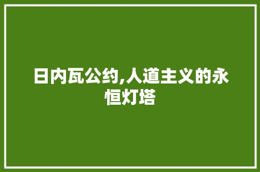 日内瓦公约,人道主义的永恒灯塔 WordPress教程